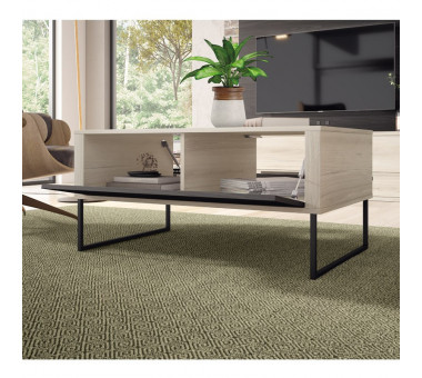 Mesa centro fija 100 2 puertas